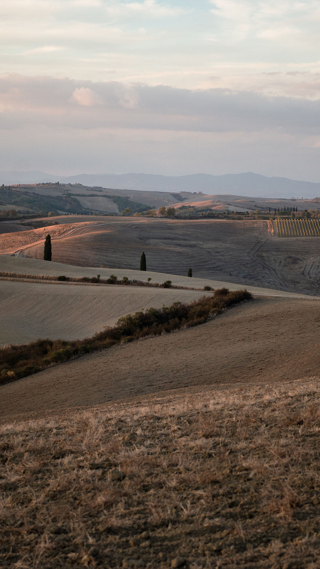 Contatti