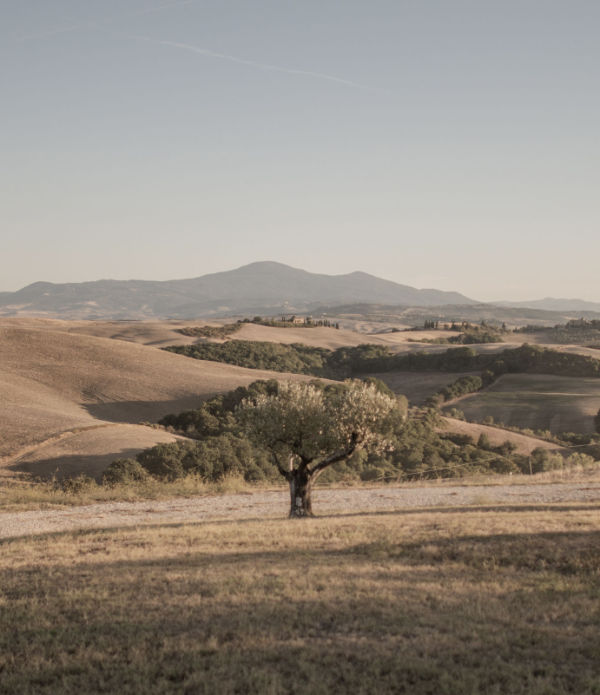 A Lucignano d’Asso dal 1960