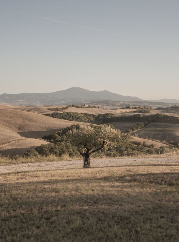 A Lucignano d’Asso dal 1960