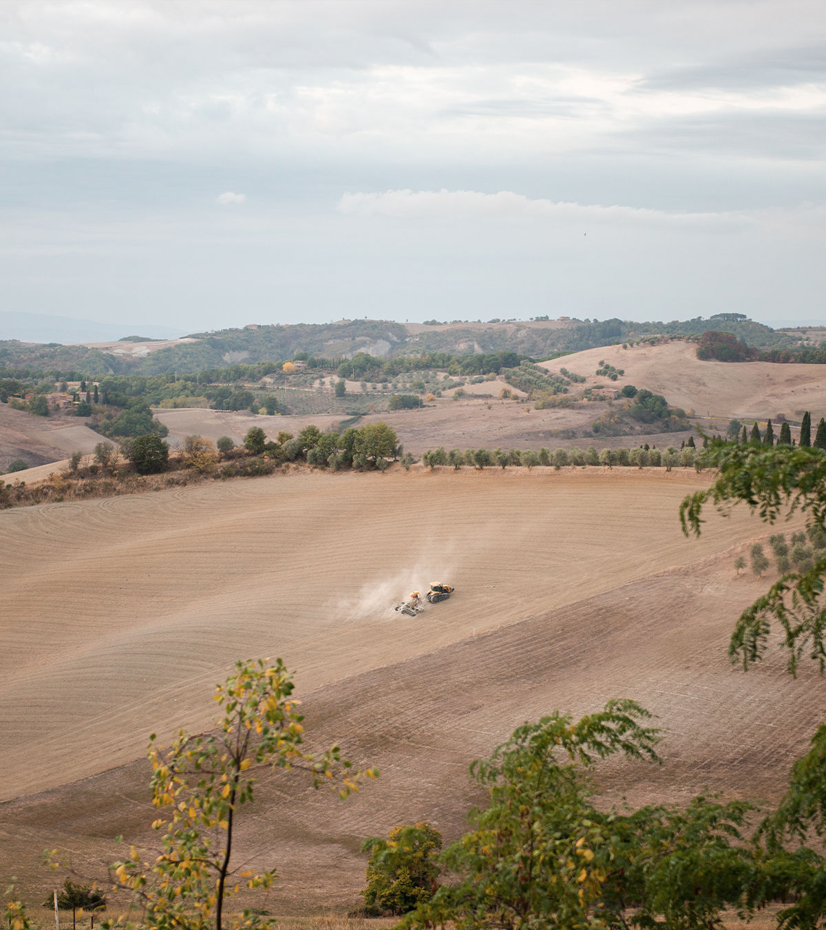 A Lucignano d’Asso dal 1960