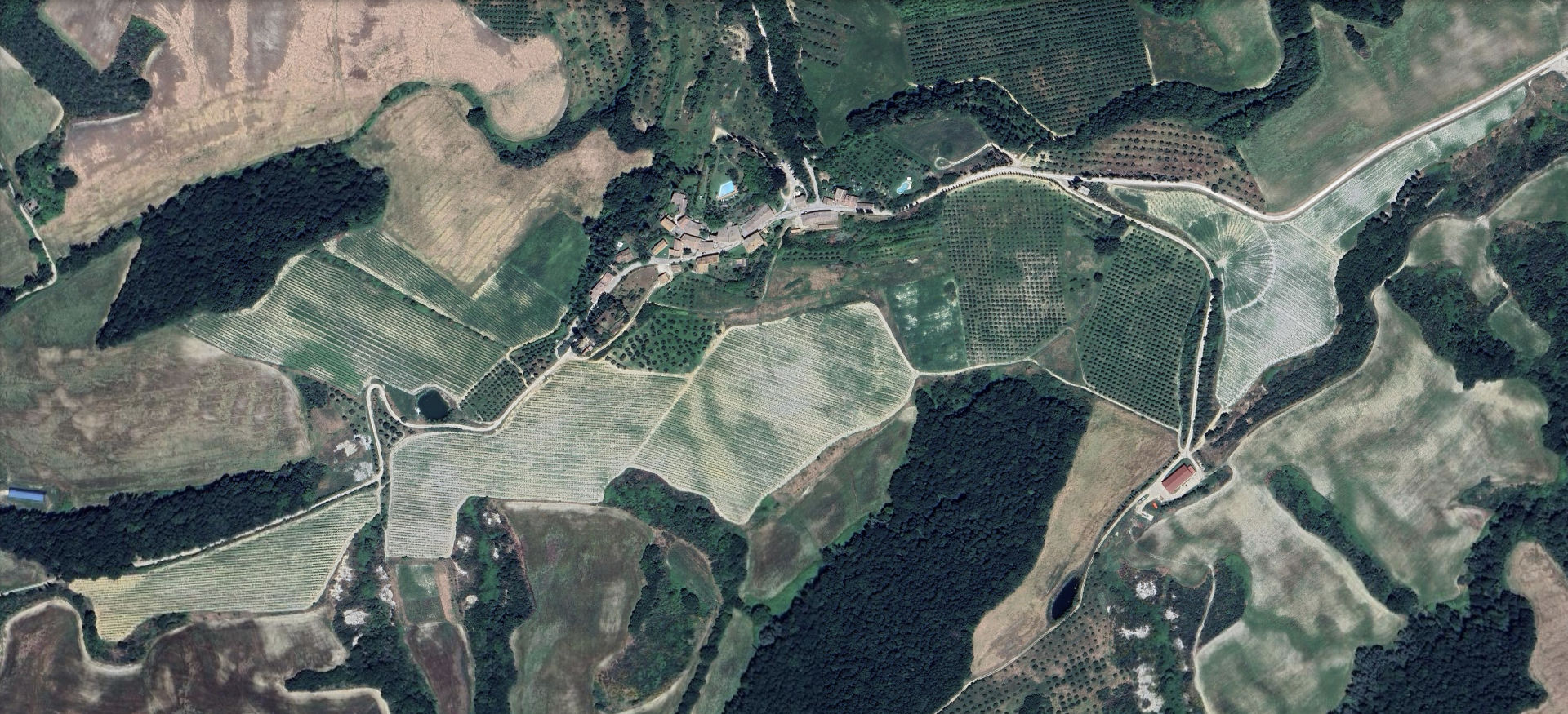 Mappa dei vigneti di Ser'Enzo